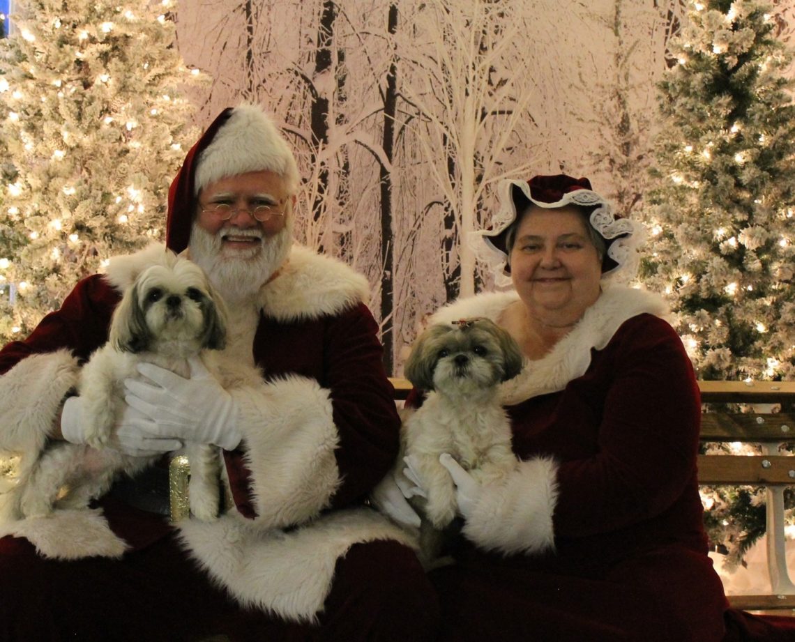 Christmas in the Park Taylorville Park District